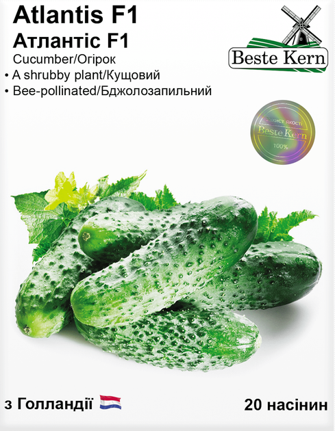 Огірок Атлантіс F1 (Bestе Kern) 20 шт. - Фото 1 Огірок Атлантіс F1 (Bestе Kern) 20 шт. - изображение 1