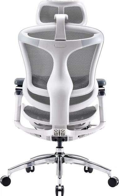 Fotel biurowy SIHOO DORO C300 Pro Mesh White (DORO-C300-PRO-M102) - obraz 2