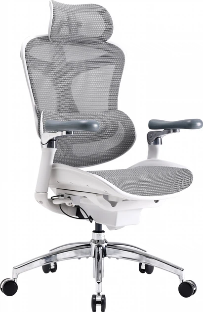 Fotel biurowy SIHOO DORO C300 Pro Mesh White (DORO-C300-PRO-M102) - obraz 5