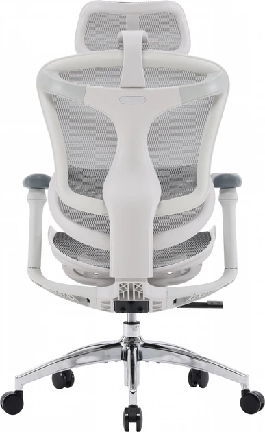 Fotel biurowy SIHOO DORO C300L Mesh White (DORO-C300L-A3-102) - obraz 2