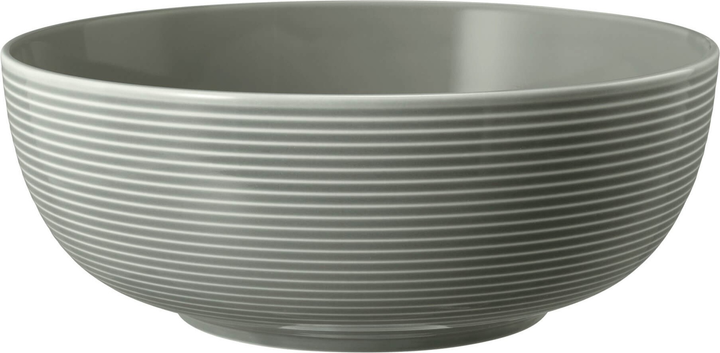 Набір мисок Seltmann Weiden Beat Color Glaze сірий 20 см 2 шт (ZES4052212109411) - зображення 2