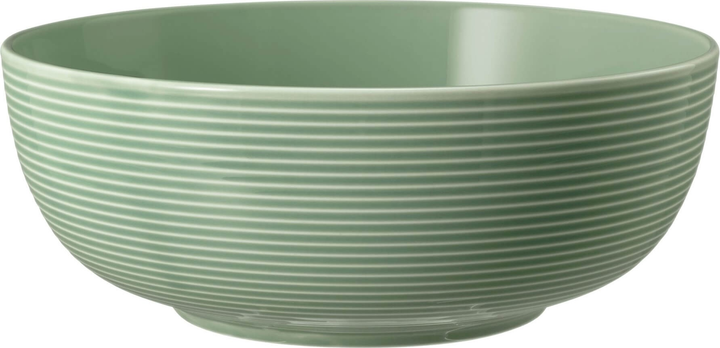 Набір мисок Seltmann Weiden Beat Color Glaze зелений 20 см 2 шт (ZES4052212109442) - зображення 2