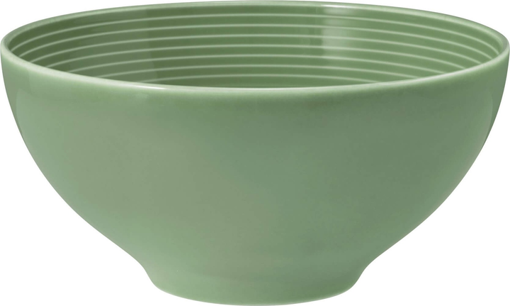 Набір мисок Seltmann Weiden Beat Color Glaze круглих зелений 15.5 см 2 шт (ZES4052212090405) - зображення 2