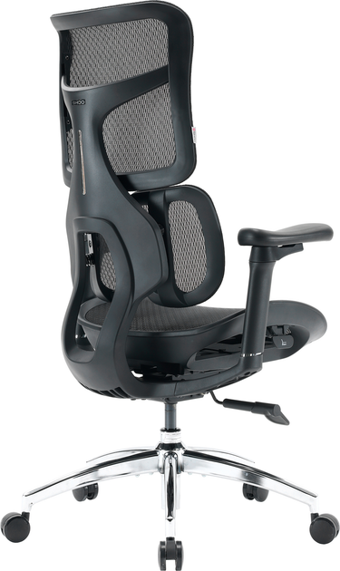 Крісло офісне SIHOO DORO S100 Mesh Black (S100-M301) - зображення 5