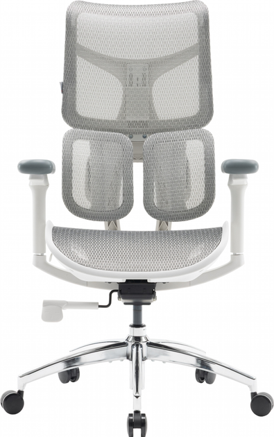 Крісло офісне SIHOO DORO S100 Mesh White (S100-M302) - зображення 1