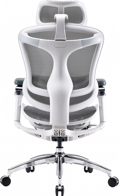 Fotel biurowy SIHOO DORO C300 Pro Mesh White (DORO-C300-PRO-M102) - obraz 2
