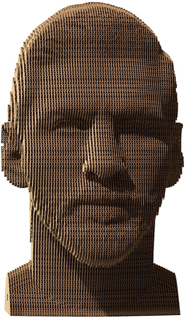 Puzzle 3D - konstruktor Cartonic 3D Puzzle Lionel Lionel Messi Kartonowy (4820191132733) - obraz 1