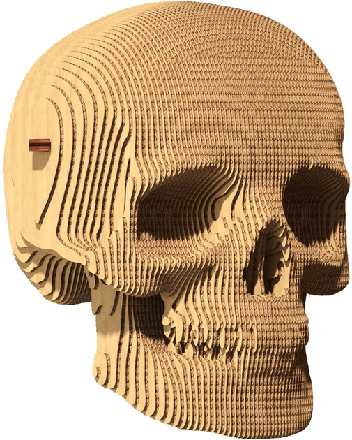 3D пазл-конструктор Cartonic 3D Puzzle Skull Картонний (4820191132948) - зображення 3