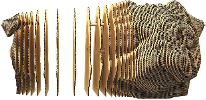 Puzzle 3D - konstruktor Cartonic 3D Puzzle Mops Kartonowy (4820191133907) - obraz 6