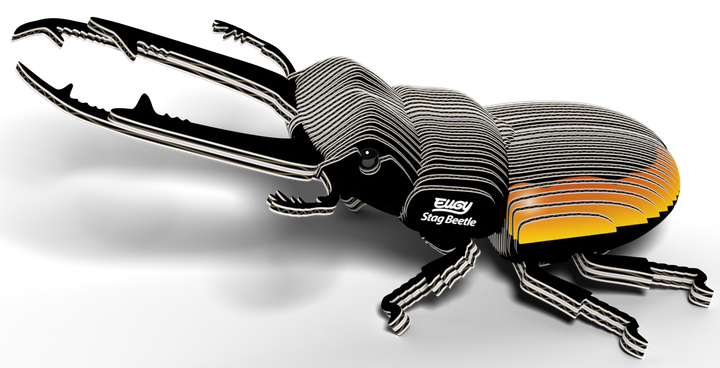 Model 3D do składania Eugy Zoo Żuk jelonek (9421036940350) - obraz 6