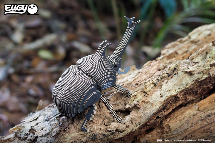 Model 3D do składania Eugy Zoo Żuk nosorożec (9421036940343) - obraz 10