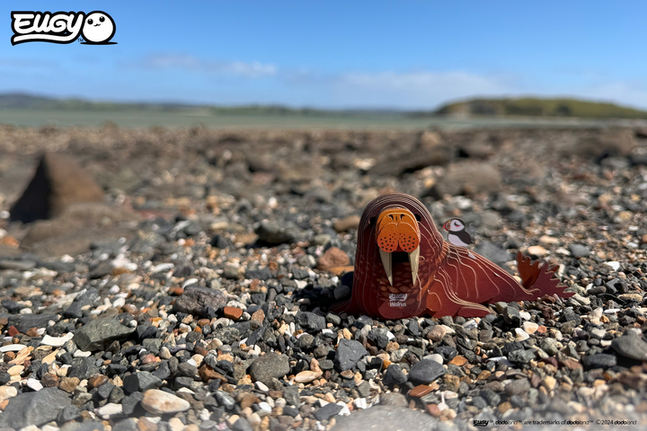 Збірна 3Д модель Eugy Зоопарк Морж (9421036940282) - зображення 15