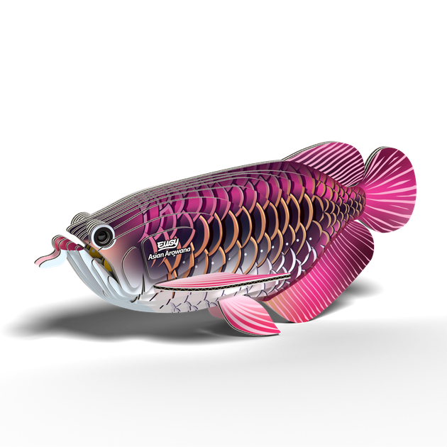 Model 3D do składania Eugy Zoo Azjatycka arowana (9421036940398) - obraz 2