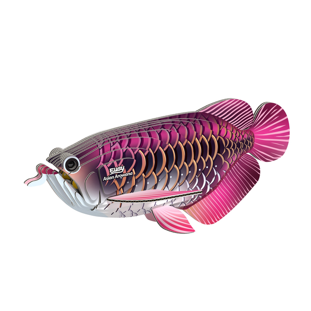 Model 3D do składania Eugy Zoo Azjatycka arowana (9421036940398) - obraz 6
