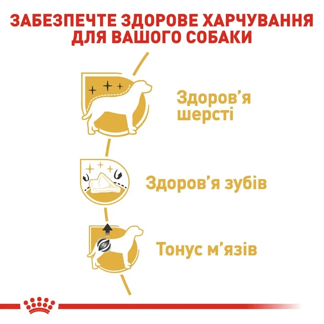 Корм для взрослых собак породы Пудель ROYAL CANIN POODLE ADULT 0.5 кг - изображение 5