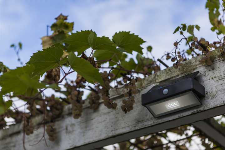 Kinkiet solarny z czujnikiem Lutec Arrow LED 2.3W 5000K 180lm IP44 (6939412046402) - obraz 6