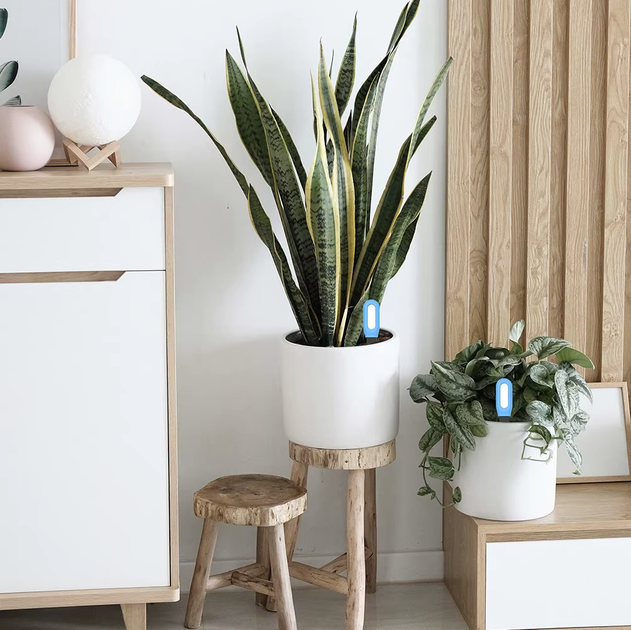 Розумний датчик вологості ґрунту Zigbee Tuya Smart Life - изображение 10