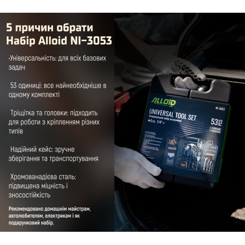 Набір інструменту Alloid 53 предмета NI-3053 - Фото 10 Набір інструменту Alloid 53 предмета NI-3053 - зображення 10