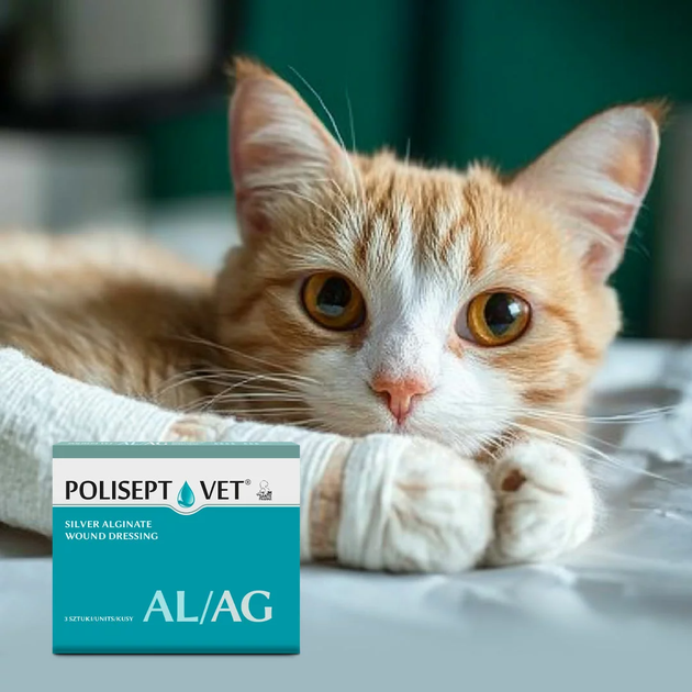 Пов'язка для ран JM Sante Pharma POLISEPT VET AL/AG для собак та котів 3 шт. (5902596718879) - зображення 3