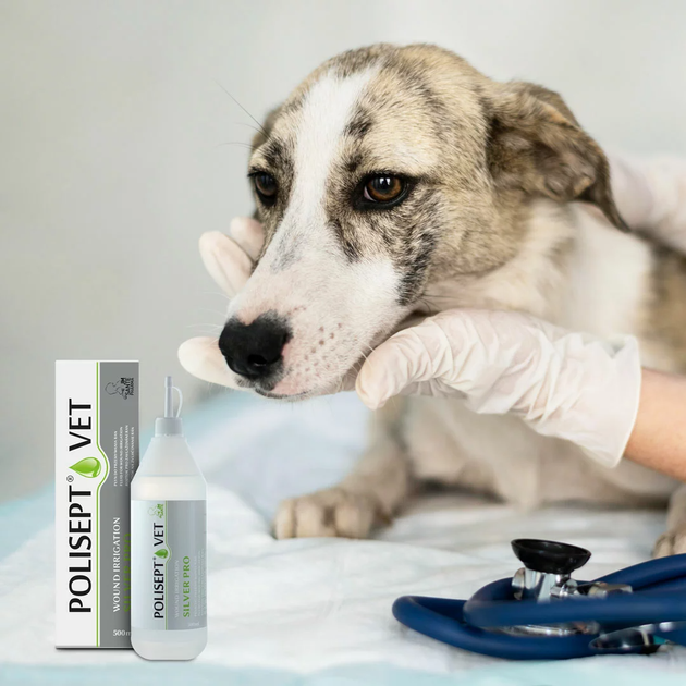 Рідина для зрошення ран JM Sante Pharma POLISEPT VET WOUND IRRIGATION SILVER PRO для собак і котів 500 мл (5902596718503) - зображення 3