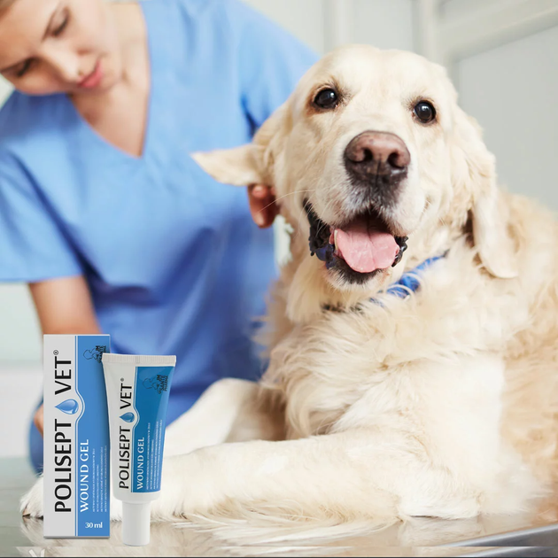Opatrunek żelowy JM Sante Pharma POLISEPT VET WOUND GEL dla psów i kotów 30 ml (5902596718305) - obraz 3