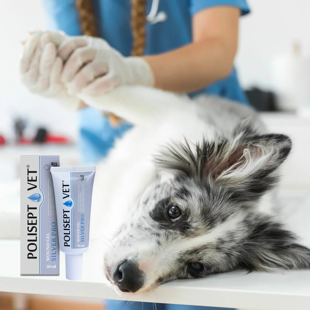Гелева пов'язка JM Sante Pharma POLISEPT VET WOUND GEL SILVER PRO для собак і котів 30 мл (5902596718480) - зображення 3