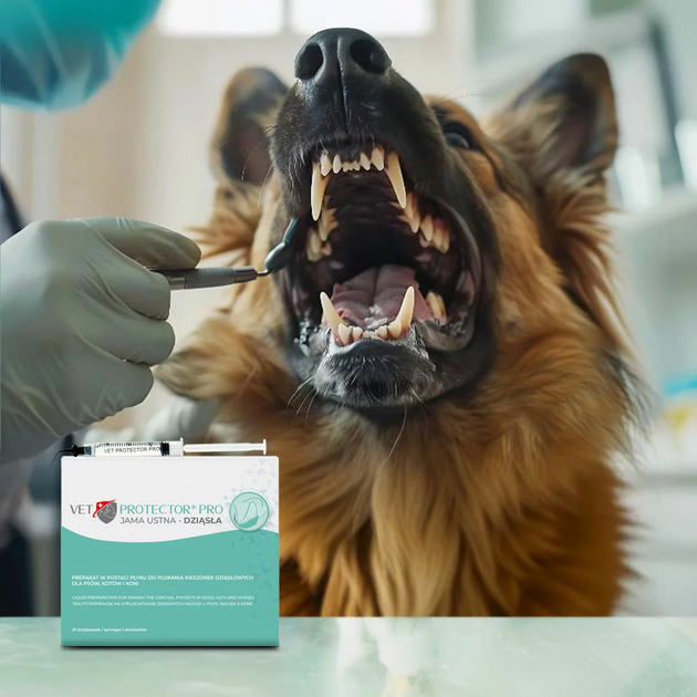 Ополіскувач для ротової порожнини JM Sante Pharma VET PROTECTOR ORAL для собак і котів 10×3 мл (5902596718381) - зображення 3