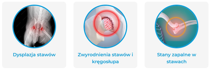 Suplement diety Game Dog AniFlexi HA Mini w przypadku chorób zwyrodnieniowych stawów i kręgosłupa u psów 120 tabletek (5904730806190) - obraz 2