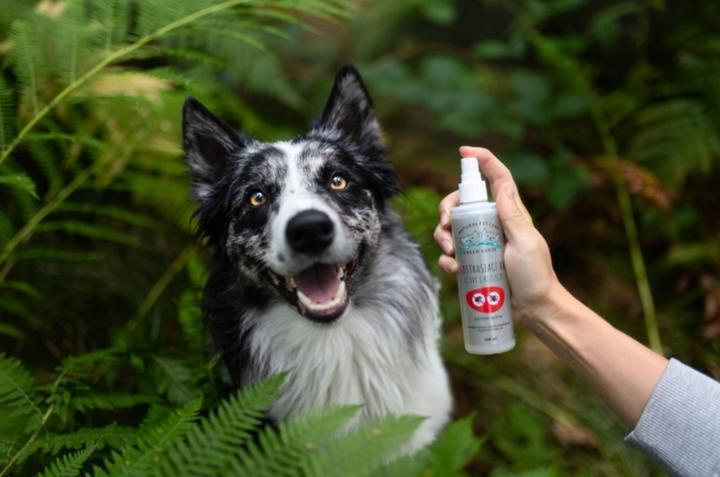 Naturalny odstraszasz na kleszcze i pchły GREEN SANTE dla psów i kotów 150 ml (5905943350098) - obraz 2