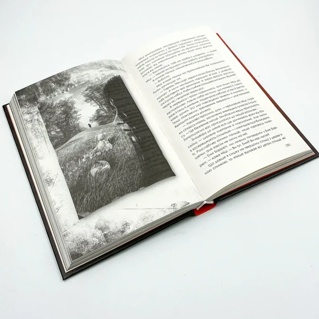 Приховані малюнки — Рекулак Джейсон | Клуб Сімейного Дозвілля, книга українською, нова, тверда - Фото 3 Приховані малюнки — Рекулак Джейсон | Клуб Сімейного Дозвілля, книга українською, нова, тверда - изображение 3