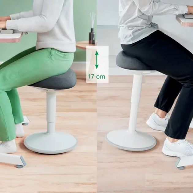 Стілець офісний Leitz Ergo 65440085 17 см Grey (4002432138401) - зображення 9