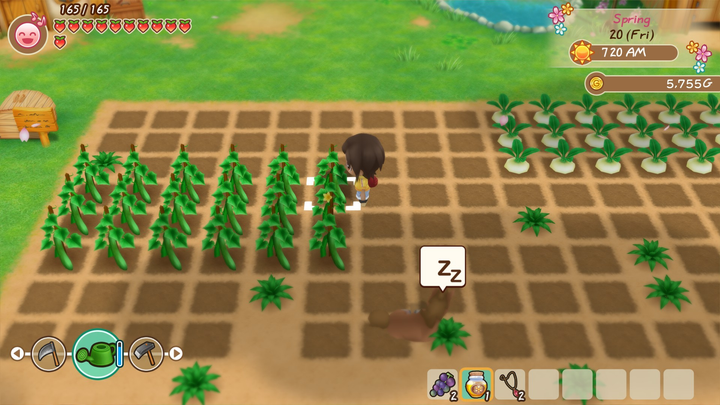 Гра Nintendo Switch Story of Seasons: Friends Of Mineral Town (Картридж) (5060540770554) - зображення 5