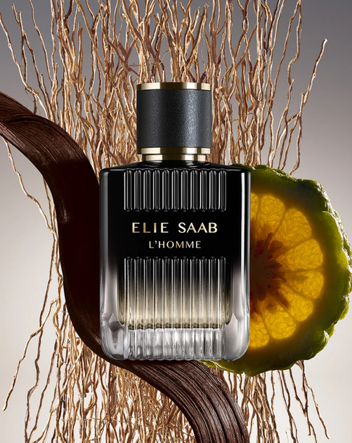 Парфумована вода для чоловіків Elie Saab L'Homme 100 мл (7640233342565) - зображення 3