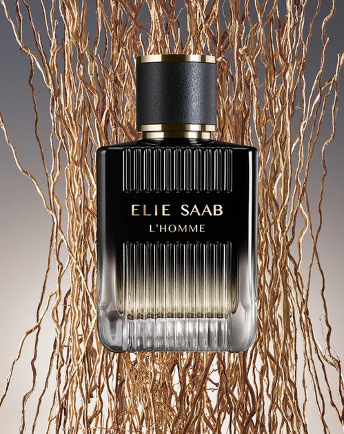Парфумована вода для чоловіків Elie Saab L'Homme 100 мл (7640233342565) - зображення 5