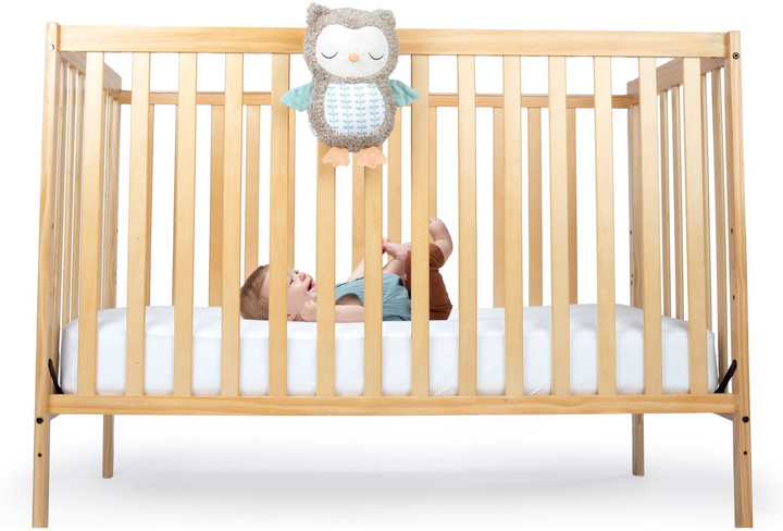 М'яка музична іграшка Ingenuity Snuggle Sounds Nally (12477) (074451124776) - зображення 6