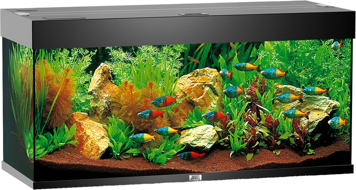 Акваріумний набір Juwel Rio 180 LED Чорний (4022573043501) - зображення 1