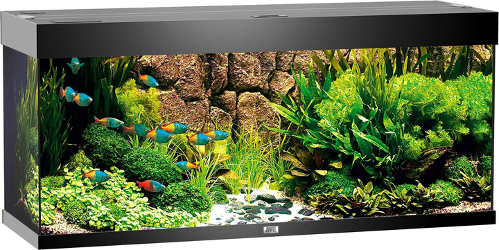Акваріумний набір Juwel Rio 240 LED Чорний (4022573033502) - зображення 1