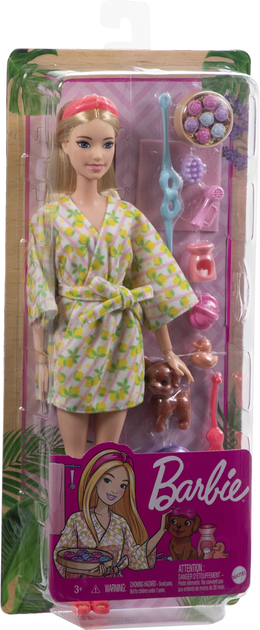 Лялька Barbie Активний відпочинок Спа-догляд (HKT90) (194735108176) - зображення 1