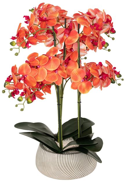 Sztuczny storczyk Atmosphera w doniczce 65 cm (3560233541260) - obraz 1