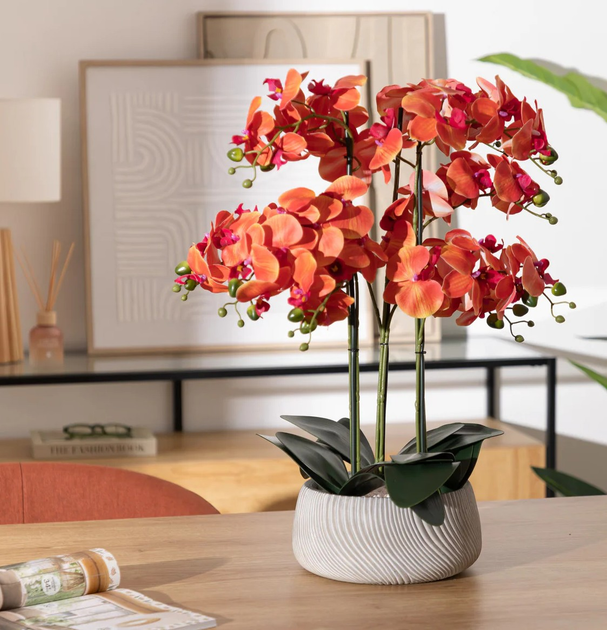 Sztuczny storczyk Atmosphera w doniczce 65 cm (3560233541260) - obraz 4