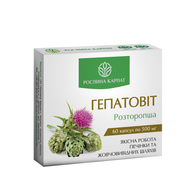 Гепатовит 60 кап - Фото 1 Гепатовит 60 кап - изображение 1