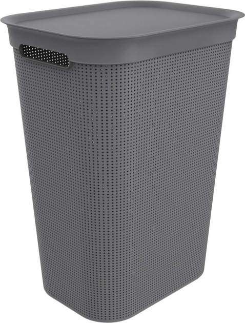 Kosz na pranie Rotho Brisen 50 l Antracyt (1023508853WS) - obraz 1
