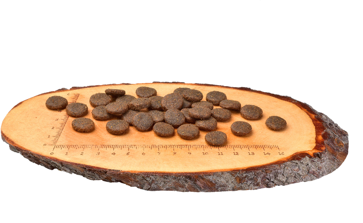 Сухий корм для дорослих собак великих порід Carnilove Salmon&Turkey Large Breed 12 кг (8595602508945) - зображення 3