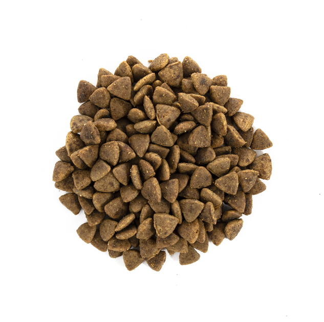 Karma sucha dla dorosłych kotów wszystkich ras Brit Care Cat Grain-Free Adult Indyk i kurczak 2 kg (8595602540822) - obraz 3