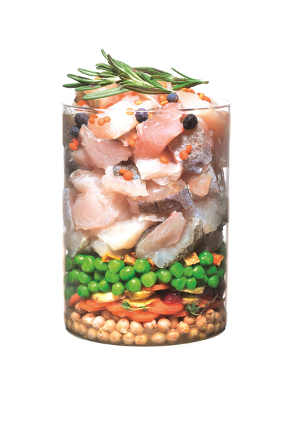 Сухий корм для собак Carnilove True Fresh FISH for Adult dogs з рибою 11.4 кг (8595602546015) - зображення 3