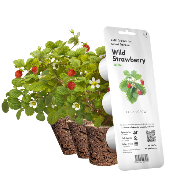 Змінний картридж Click&Grow Дика полуниця (7410) - зображення 1
