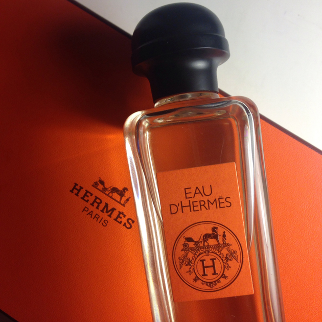 Woda toaletowa unisex Hermes Eau D'Hermes 100 ml (3346130890171) - obraz 3