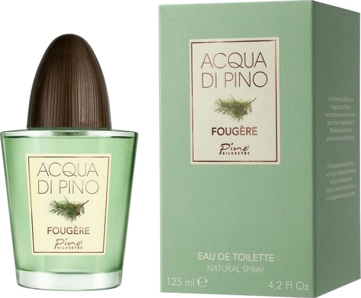 Woda toaletowa męska Pino Silvestre Acqua di Pino Fougere 125 ml (0679602551120/679602551120) - obraz 1