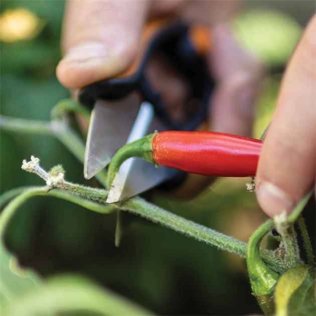 Nożyczki do ziół Fiskars Solid Herb Snips SP-220 (1063326) - obraz 4