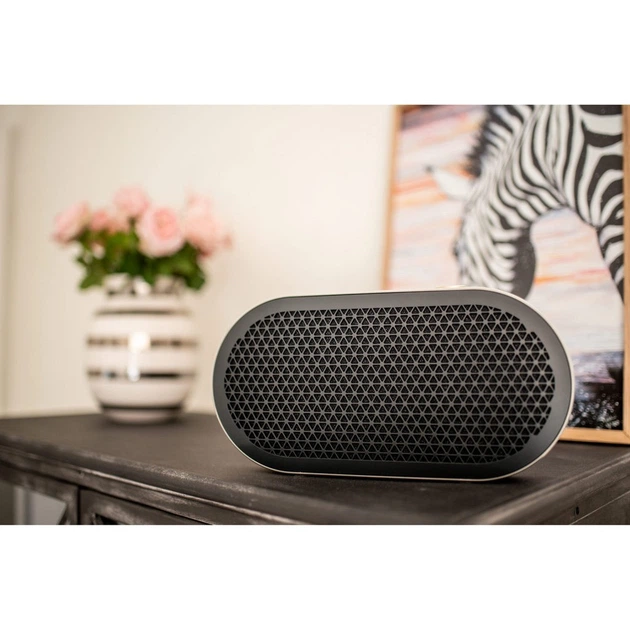 Портативна акустична система з Bluetooth DALI Katch G2 Iron Black (art.239703) - Фото 4 Портативна акустична система з Bluetooth DALI Katch G2 Iron Black (art.239703) - зображення 4